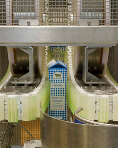 Dairy Processing conveyor system