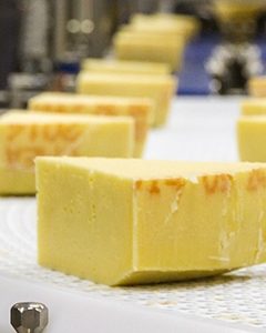 Cheese and Dairy Processing